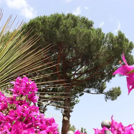 Paradiso 3* Castellammare di Stabia